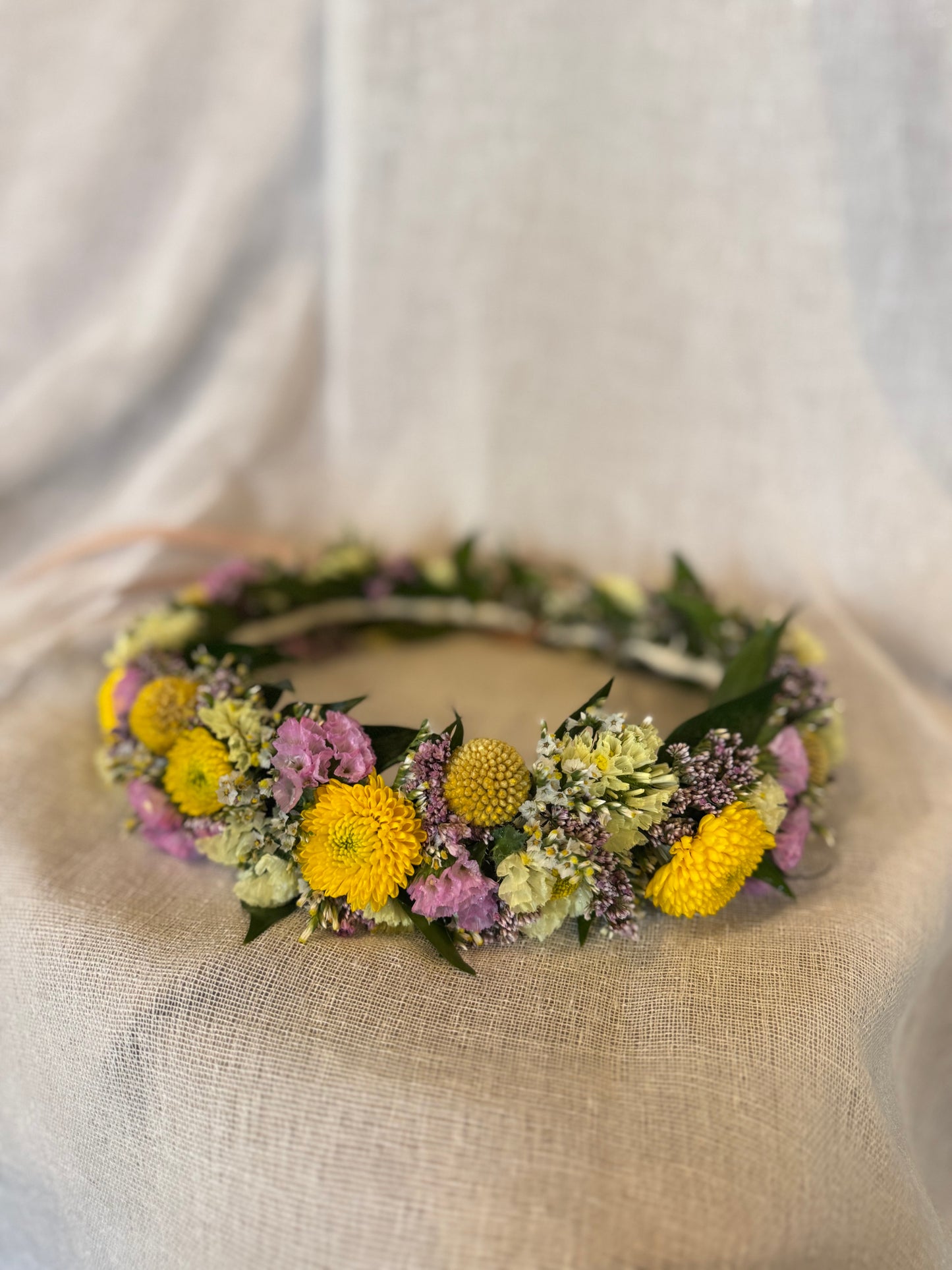 Hárkrans (2 ára og eldri)