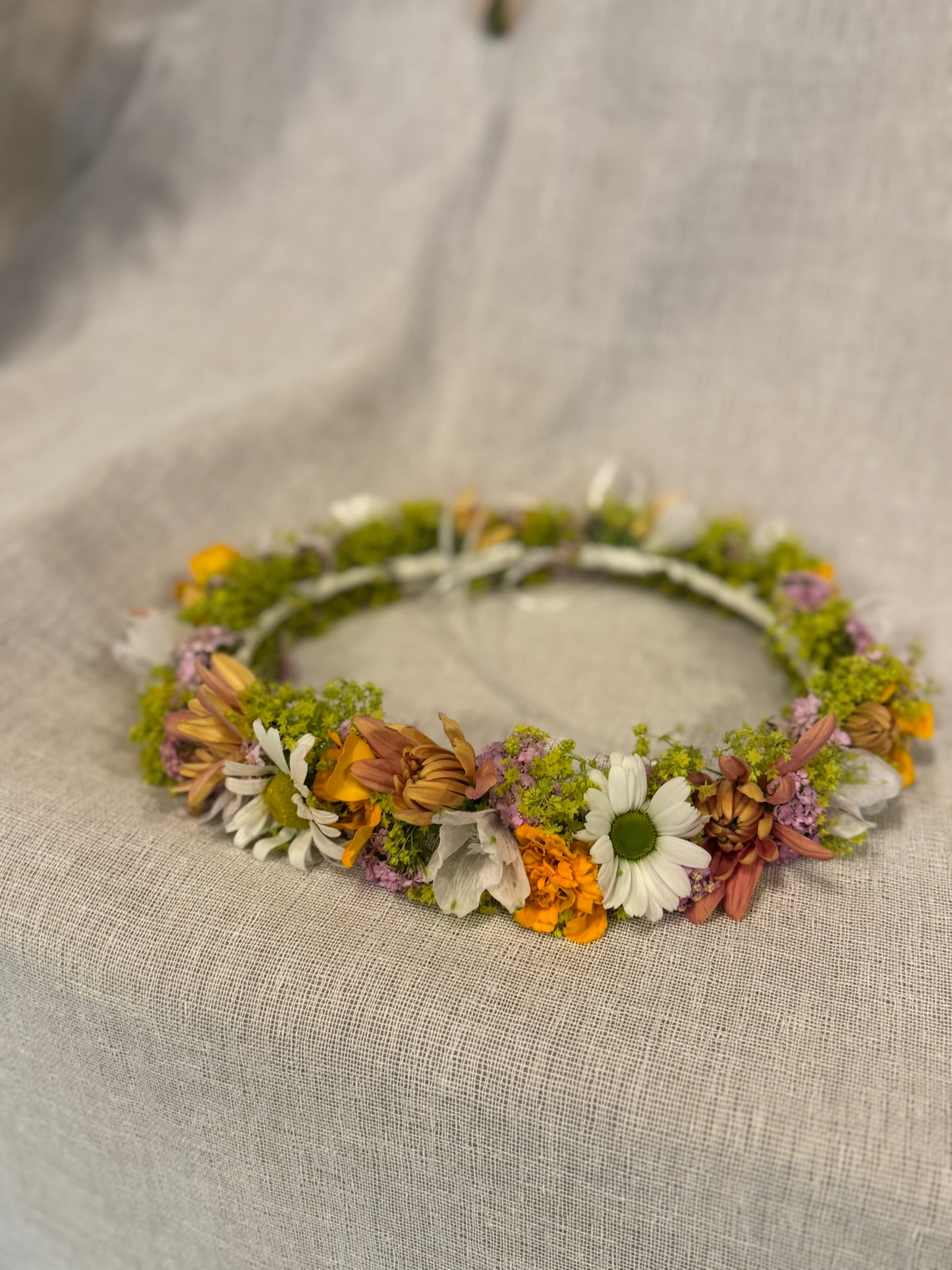 Hárkrans (2 ára og eldri)